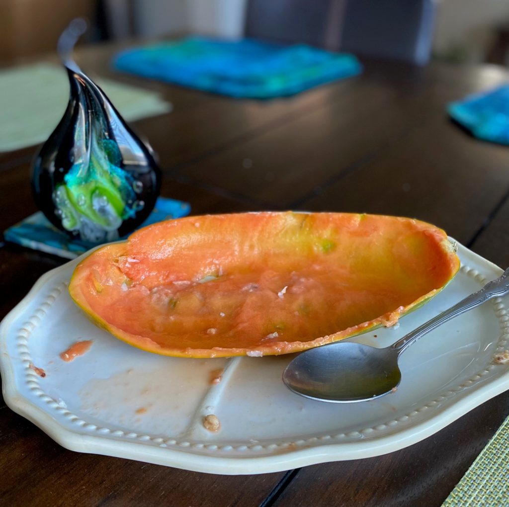 Empty papaya skin, showing how it looks when gone-so good!