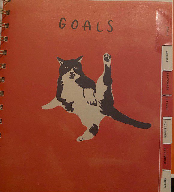 Picture of a cat lifting its leg and cleaning itself on a page that says "goals". Your self-care goal may not be the same as the one this cat has, but it is important to track goals regularly.