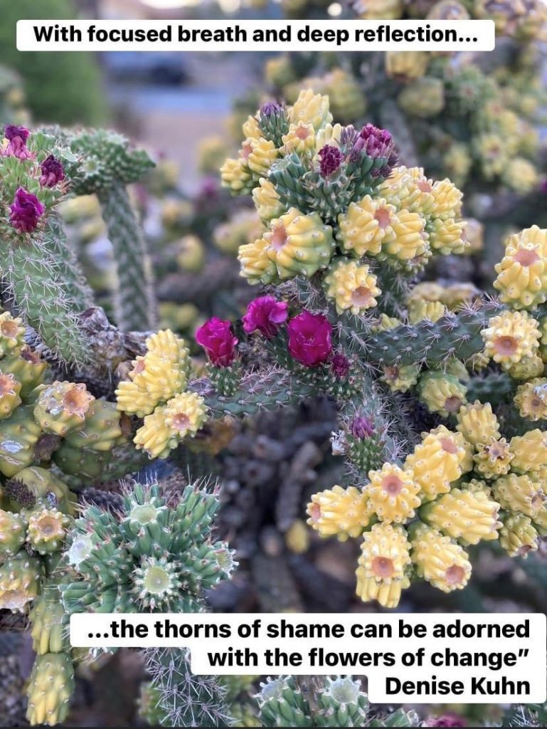 Cactus with thorns and flowers. Quote:
"With focused breath and deep reflection, the thorns of shame can be adorned with the flowers of change."