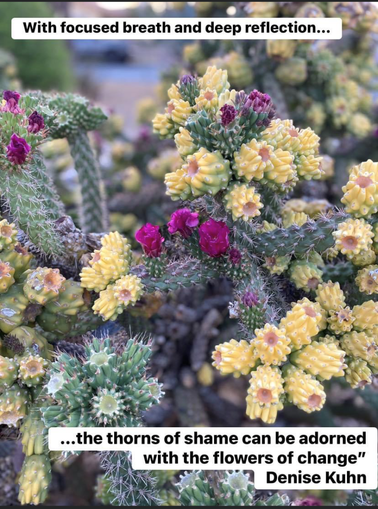 cactus with flowers and quote: "with focused breath and deep reflextion, the thorns of shame can be adorned with the flowers of change."